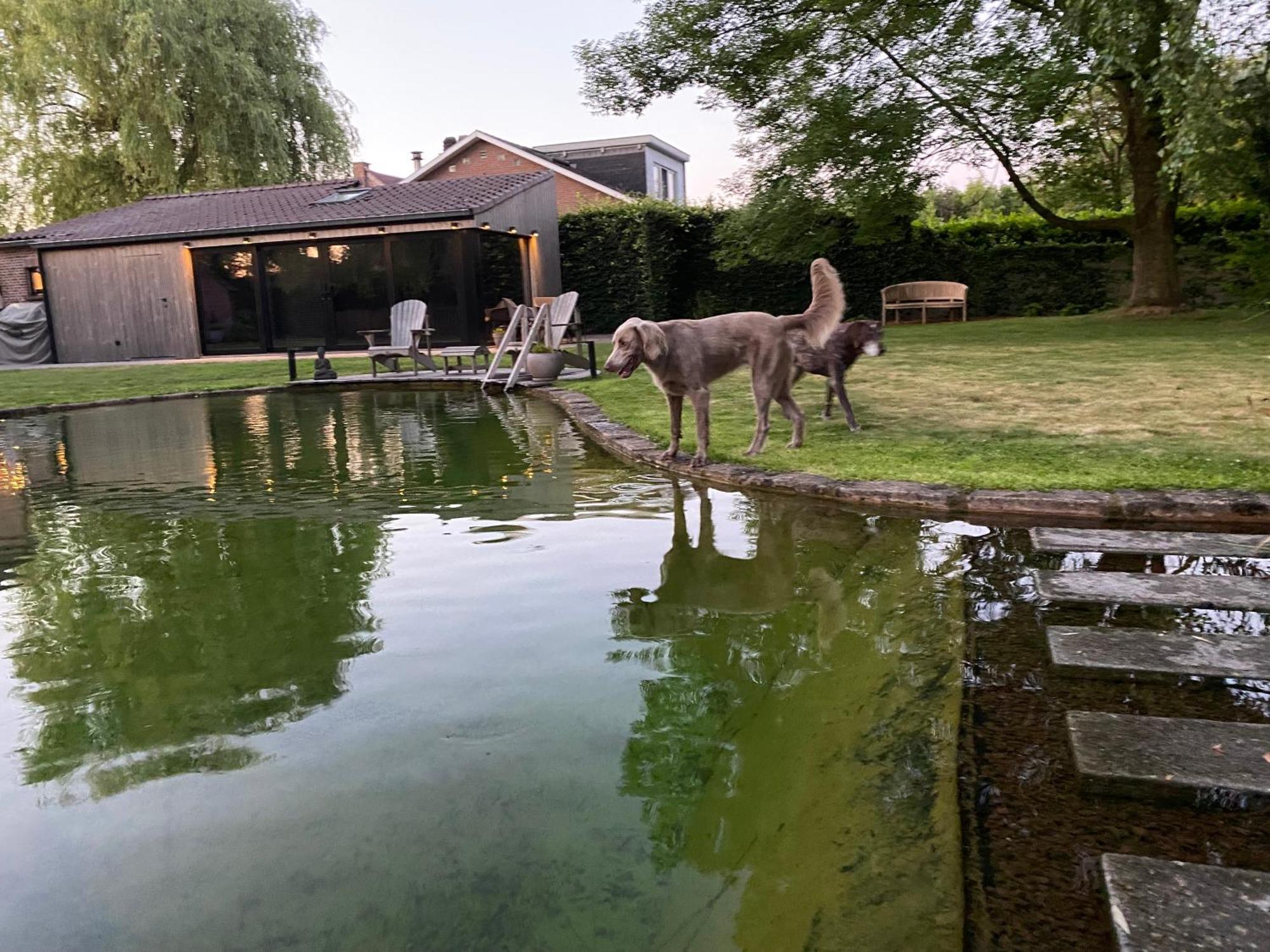 Bulsomhuys Guesthouse Kampenhout Dış mekan fotoğraf
